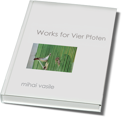 Mihai VASILE - Works for Vier Pfoten